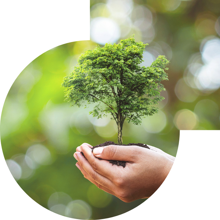 关怀人类、文化、环境与社会